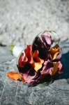 Queenstown Wedding