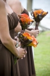 queenstown wedding