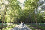 Queenstown Wedding Planning