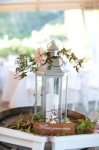 Queenstown Wedding Planning