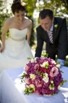 queenstown garden ceremony