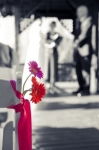 Queenstown Canyons Lodge Wedding