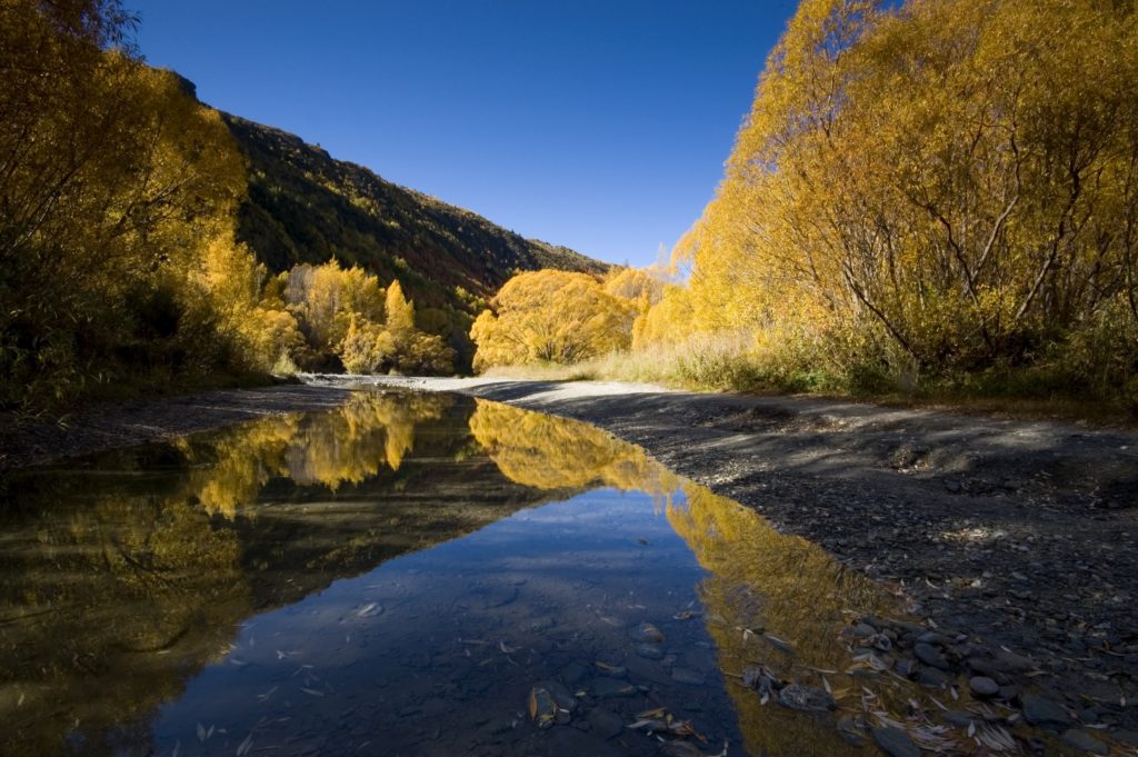The best day walk in Arrowtown, the Arrow River Trail, on an autumn day